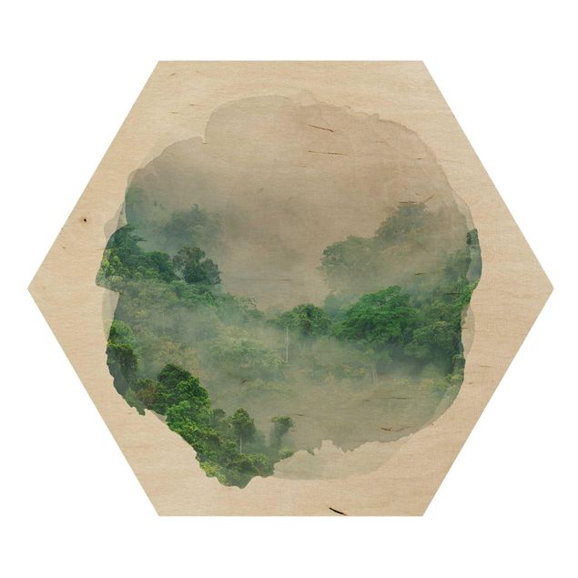 Cuadros hexagonales WaterColours - Jungle In The Mist
