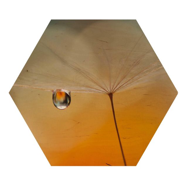 Hexagon Bild Holz - Pusteblume in Orange