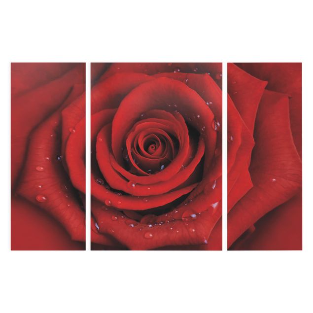 Cuadros de flores modernos Red Rose With Water Drops