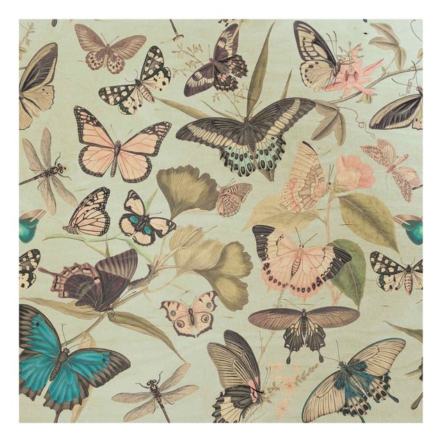 Cuadros de madera flores Vintage Collage - Butterflies And Dragonflies
