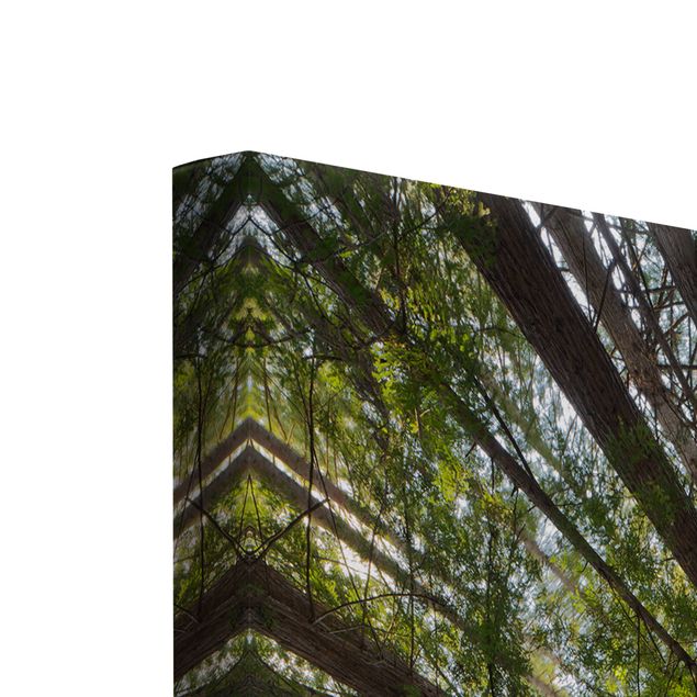 Cuadros tonos verdes Sequoia Tree Tops