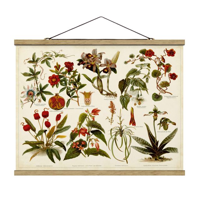 Cuadros flores Vintage Board Tropical Botany II
