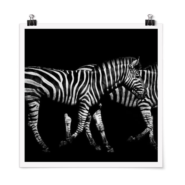 Pósters en blanco y negro Zebra In The Dark
