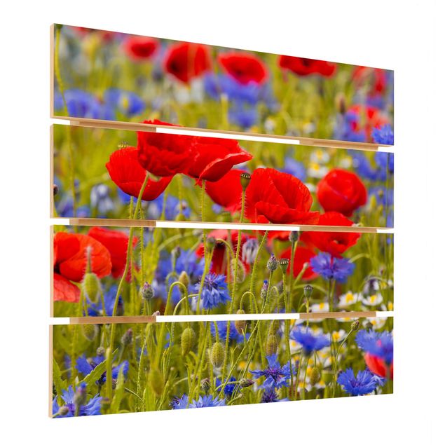 Cuadros de madera Summer Meadow With Poppies And Cornflowers