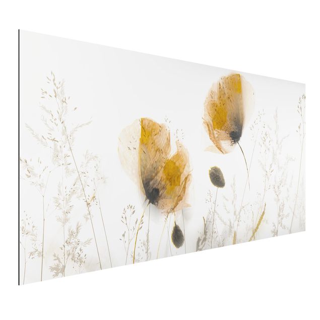 Cuadros amapolas Poppy Flowers And Delicate Grasses In Soft Fog