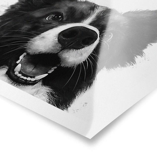 Cuadros a blanco y negro Illustration Dog Border Collie Black And White Painting