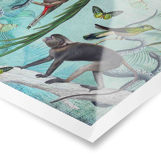 Cuadros tonos verdes Colonial Style Collage - Monkeys And Birds Of Paradise