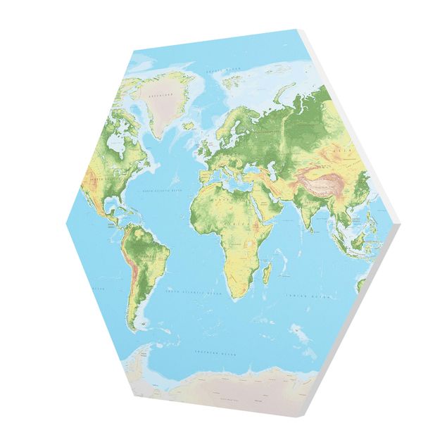 Cuadros hexagonales Physical World Map