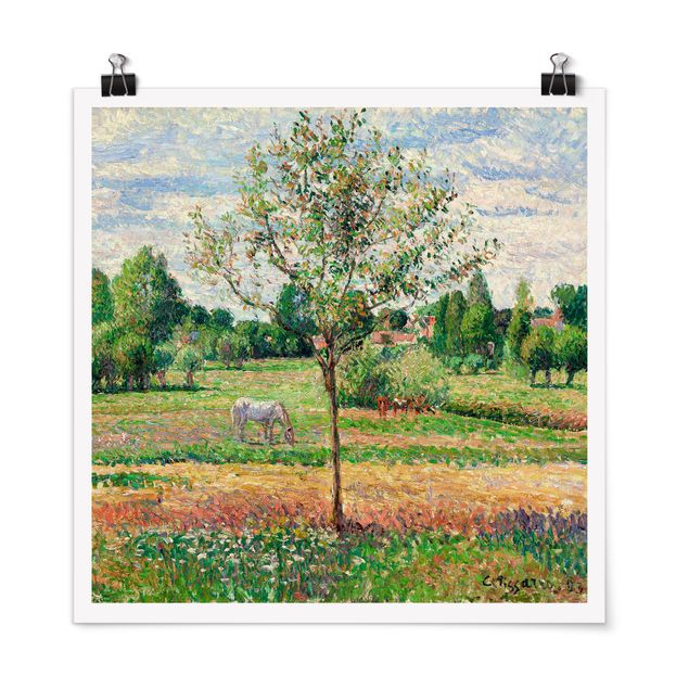 Cuadros puntillismo Camille Pissarro - Meadow with Grey Horse, Eragny