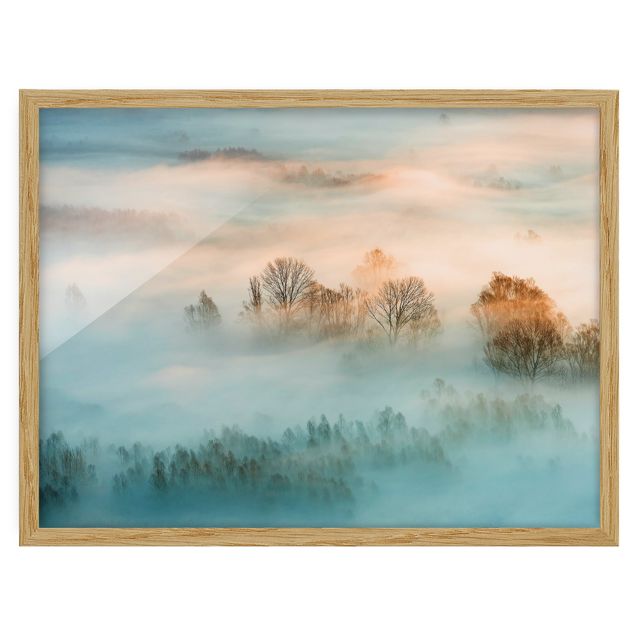 Pósters enmarcados de paisajes Fog At Sunrise