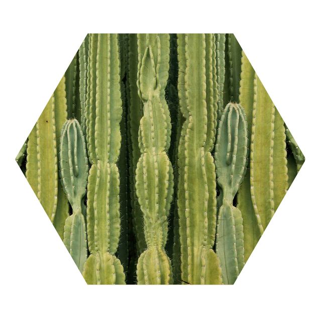 Hexagon Bild Holz - Kaktus Wand