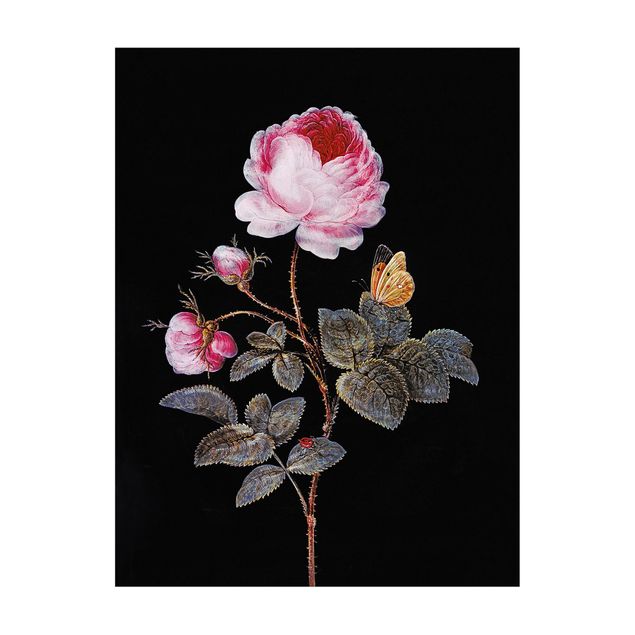 Alfombras modernas Barbara Regina Dietzsch - The Hundred-Petalled Rose