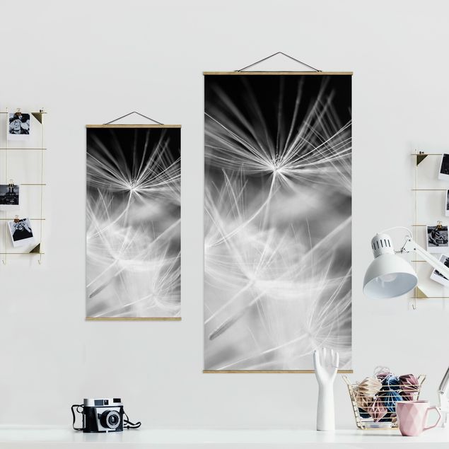 Cuadros modernos blanco y negro Moving Dandelions Close Up On Black Background