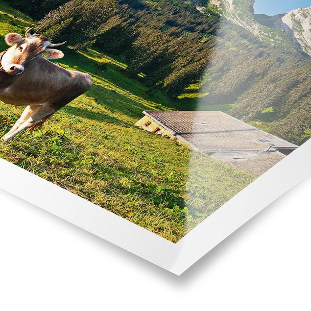 Cuadros paisajes Swiss Alpine Meadow With Cow