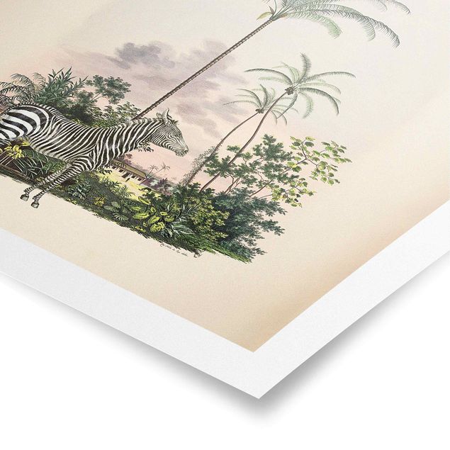 Póster paisajes para pared Zebra Front Of Palm Trees Illustration