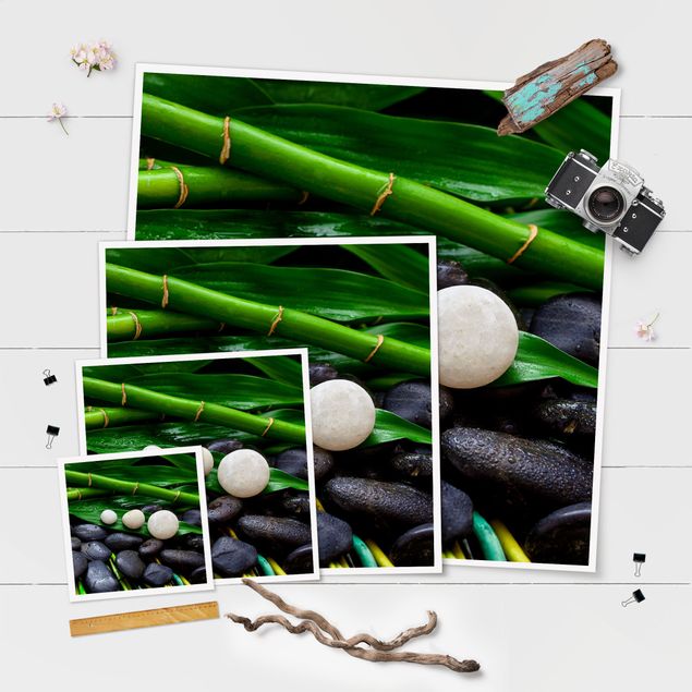 Cuadros Green Bamboo With Zen Stones