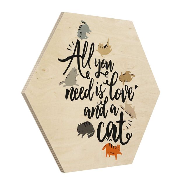 Cuadros hexagonales All You Need Is Love And A Cat