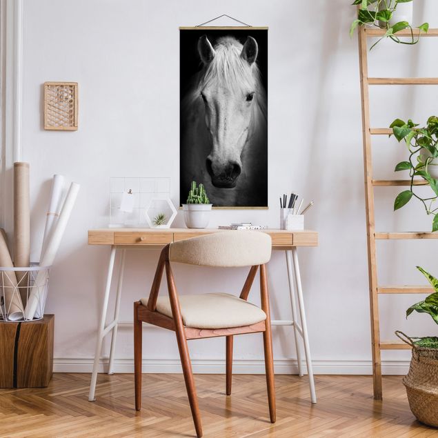 Cuadros decorativos modernos Dream Of A Horse