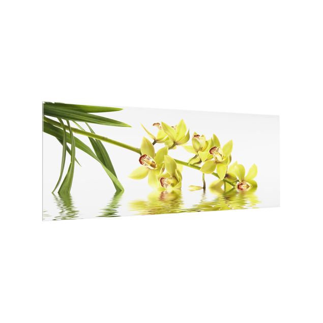 panel-antisalpicaduras-cocina Elegant Orchid Waters