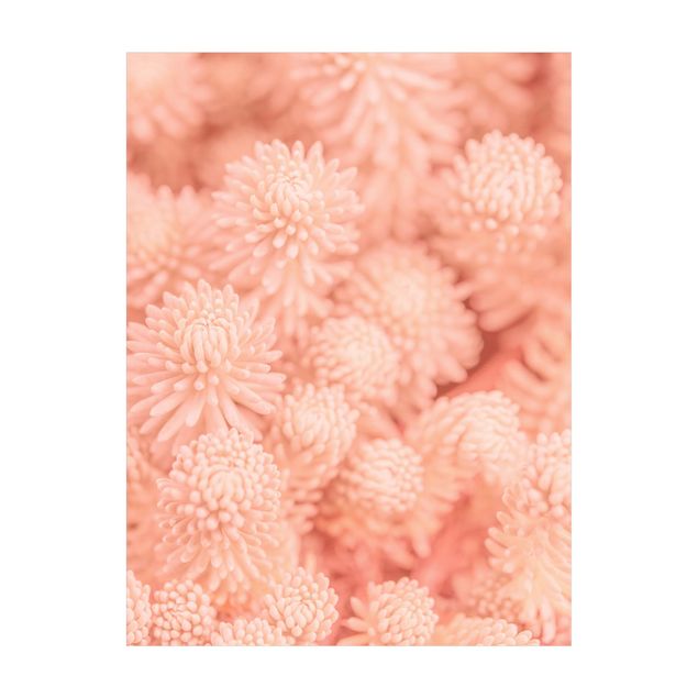 Alfombra jungla Light Pink Floral Magic Sedum