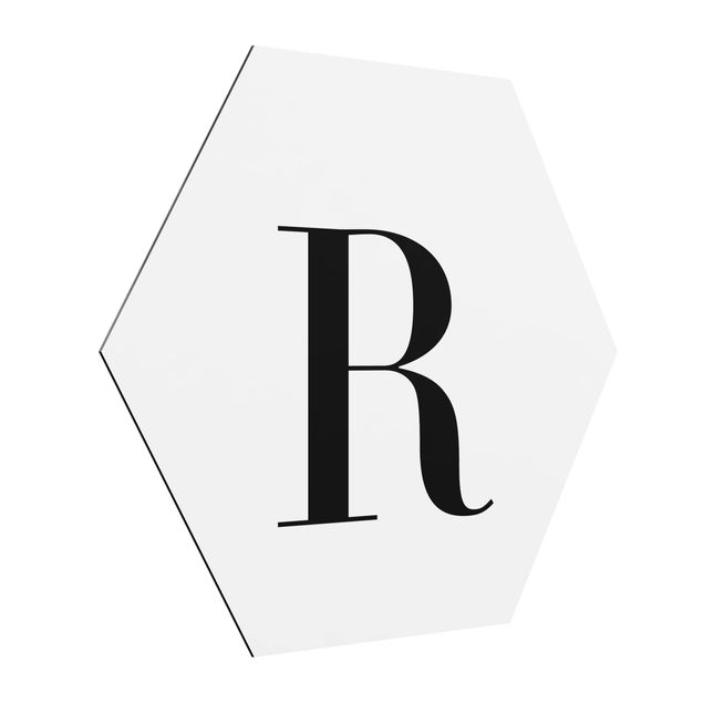 Cuadros modernos y elegantes Letter Serif White R