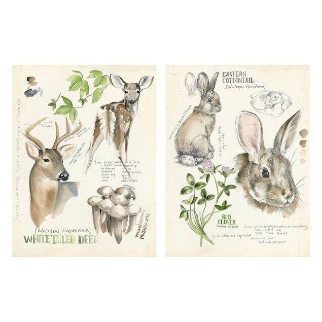 Cuadros de flores modernos Wilderness Journal - Deer And Rabbits Set II