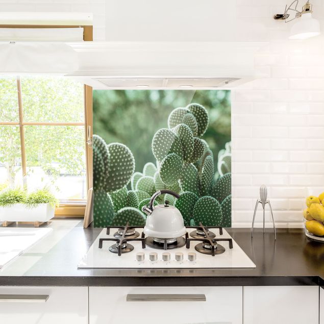 Panel antisalpicaduras cocina flores Cacti