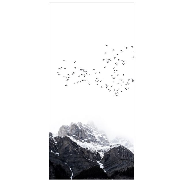 Paneles separadores de ambientes Flock Of Birds In Front Of Mountains Black And White