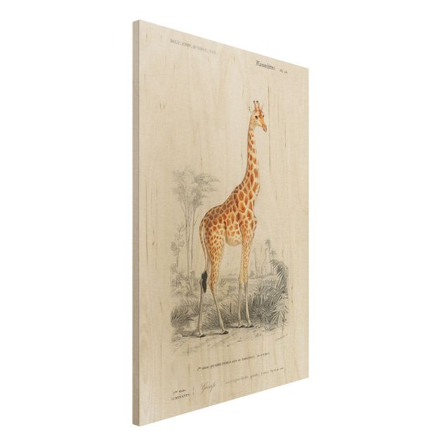 Decoración cocina Vintage Board Giraffe