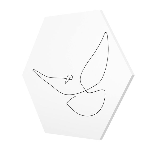Cuadros hexagonales Dove Line Art