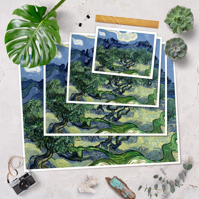 Cuadro con paisajes Vincent Van Gogh - Olive Trees