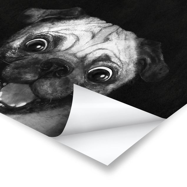 Cuadros en blanco y negro Illustration Dog Pug Painting On Black And White