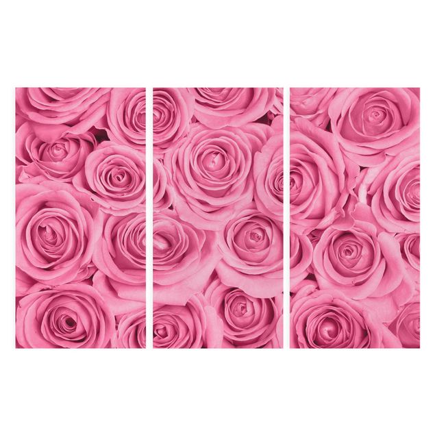 Cuadros de flores modernos Pink Roses
