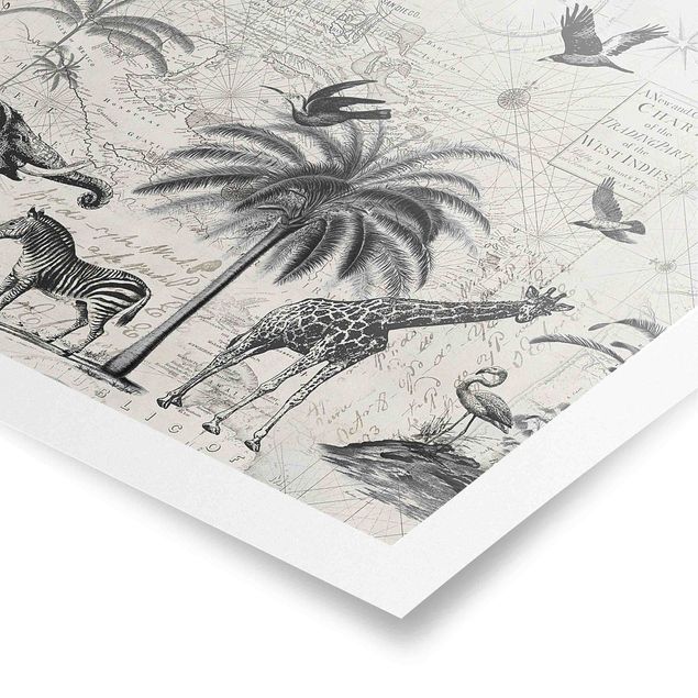 Cuadro con paisajes Vintage Collage - Exotic Map