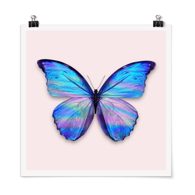 Cuadros de mariposas Holographic Butterfly