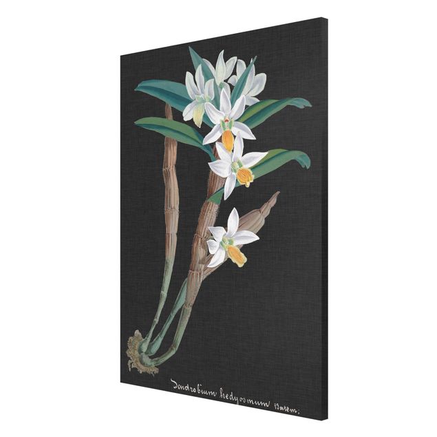 Tableros magnéticos flores White Orchid On Linen I