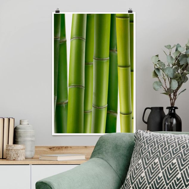 Decoración cocina Bamboo Plants