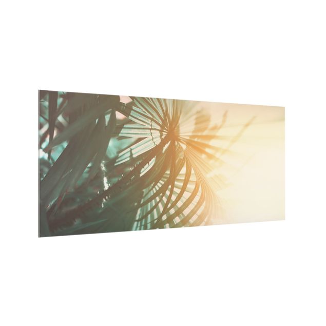 Paneles de vidrio para cocinas Tropical Plants Palm Trees At Sunset