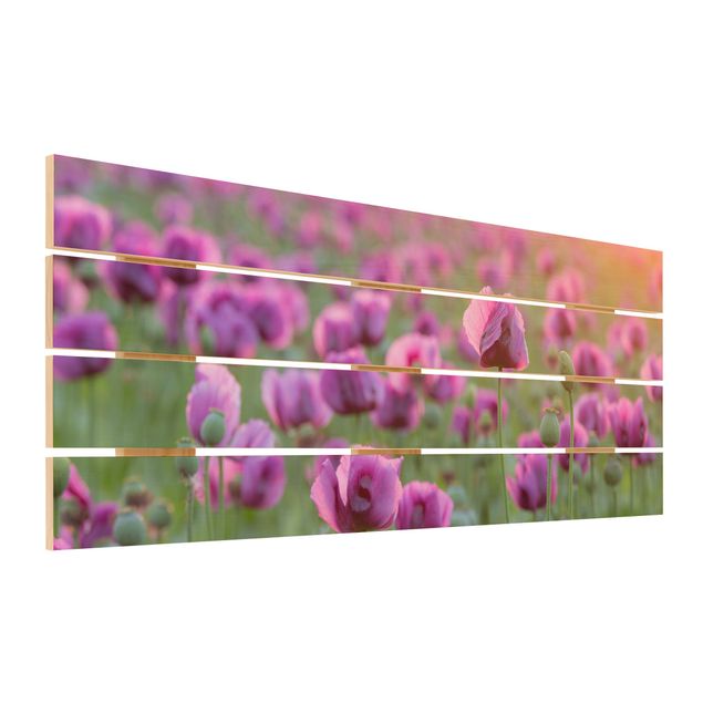 Cuadros en madera Purple Poppy Flower Meadow In Spring