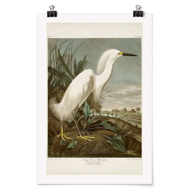 Cuadros con mar Vintage Board White Heron I