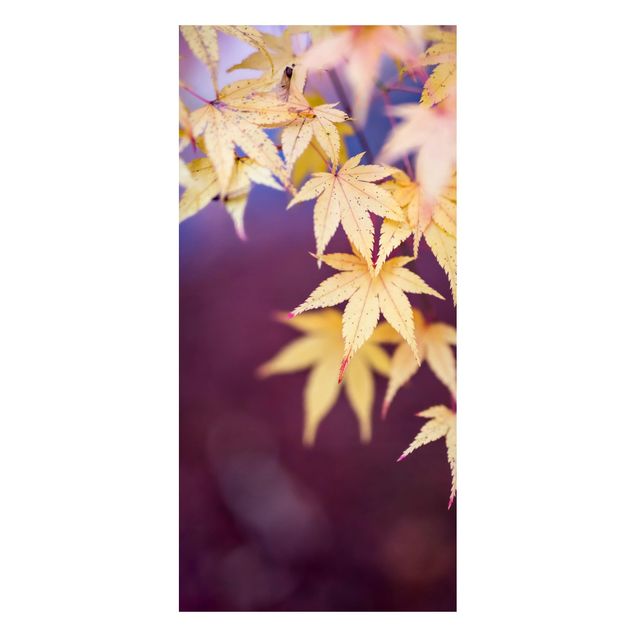 Tableros magnéticos flores Autumn Maple Tree
