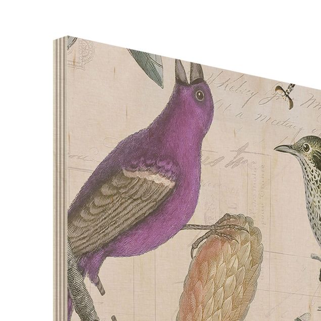 Cuadros decorativos Vintage Collage - Nostalgic Birds