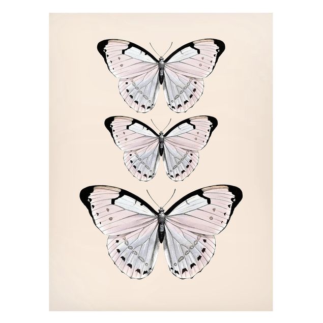 Cuadros de mariposas y flores Butterfly On Beige
