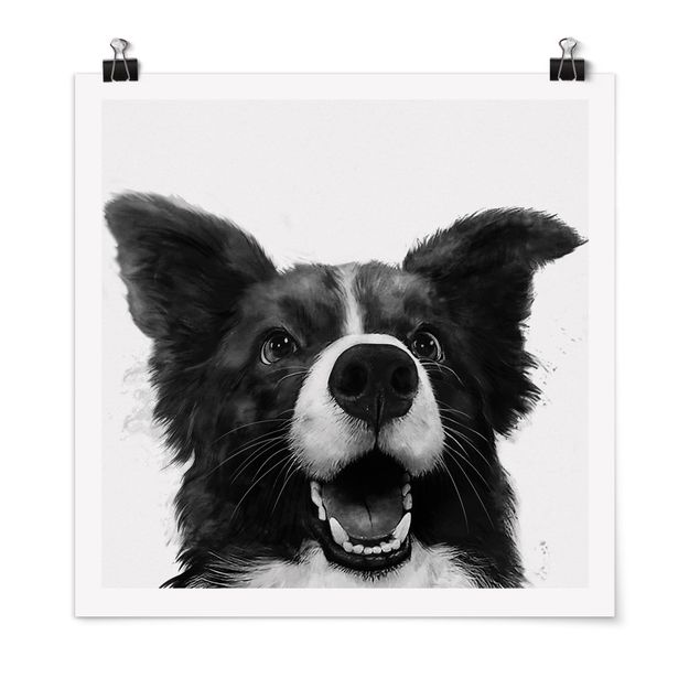 Póster cuadros famosos Illustration Dog Border Collie Black And White Painting