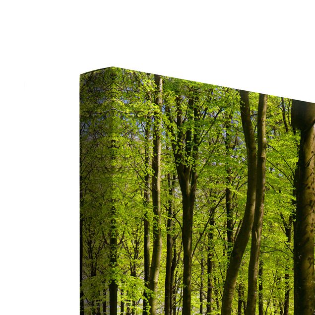 Cuadros tonos verdes Forest Meadow