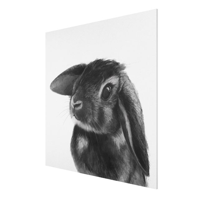 Cuadros decorativos modernos Illustration Rabbit Black And White Drawing