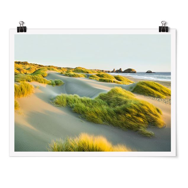 Cuadros playa Dunes And Grasses At The Sea
