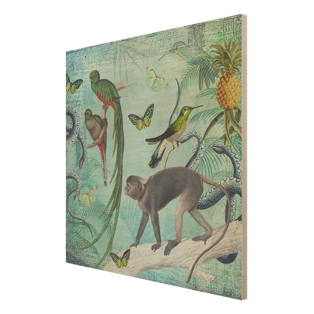 Cuadros Haase Colonial Style Collage - Monkeys And Birds Of Paradise
