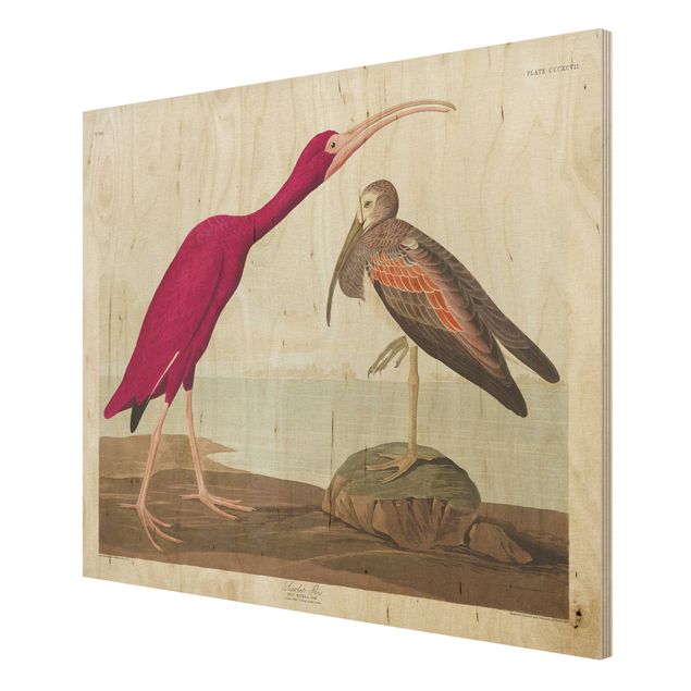 Cuadros de madera playas Vintage Board Red Ibis