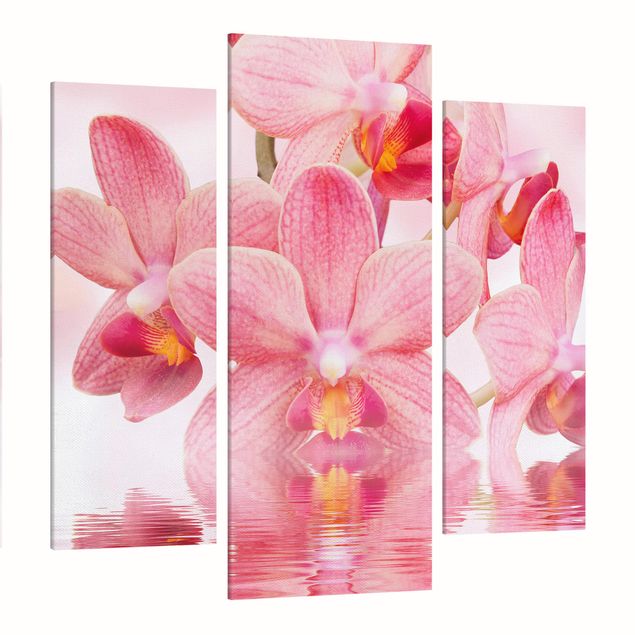 Lienzos de flores Light Pink Orchid On Water